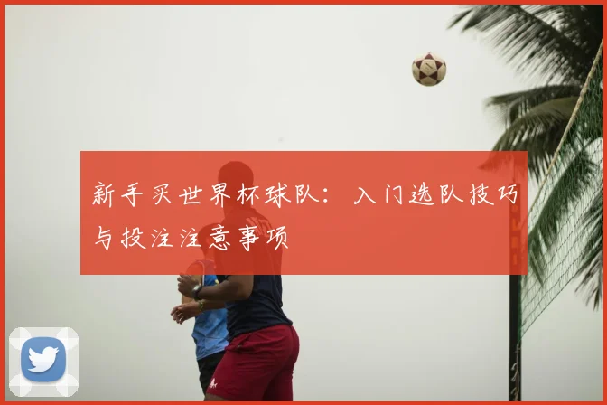 新手买世界杯球队:入门选队技巧与投注注意事项