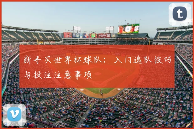 新手买世界杯球队：入门选队技巧与投注注意事项