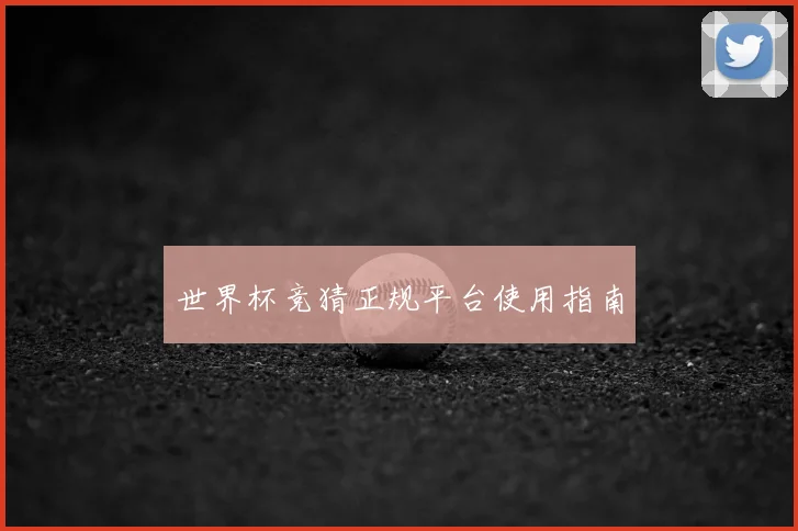 世界杯竞猜正规平台使用指南