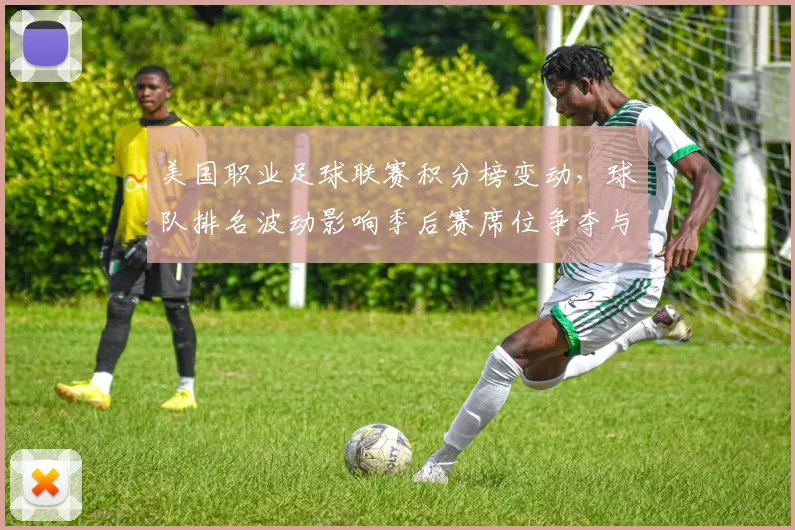 美国职业足球联赛积分榜变动，球队排名波动影响季后赛席位争夺与出线形势